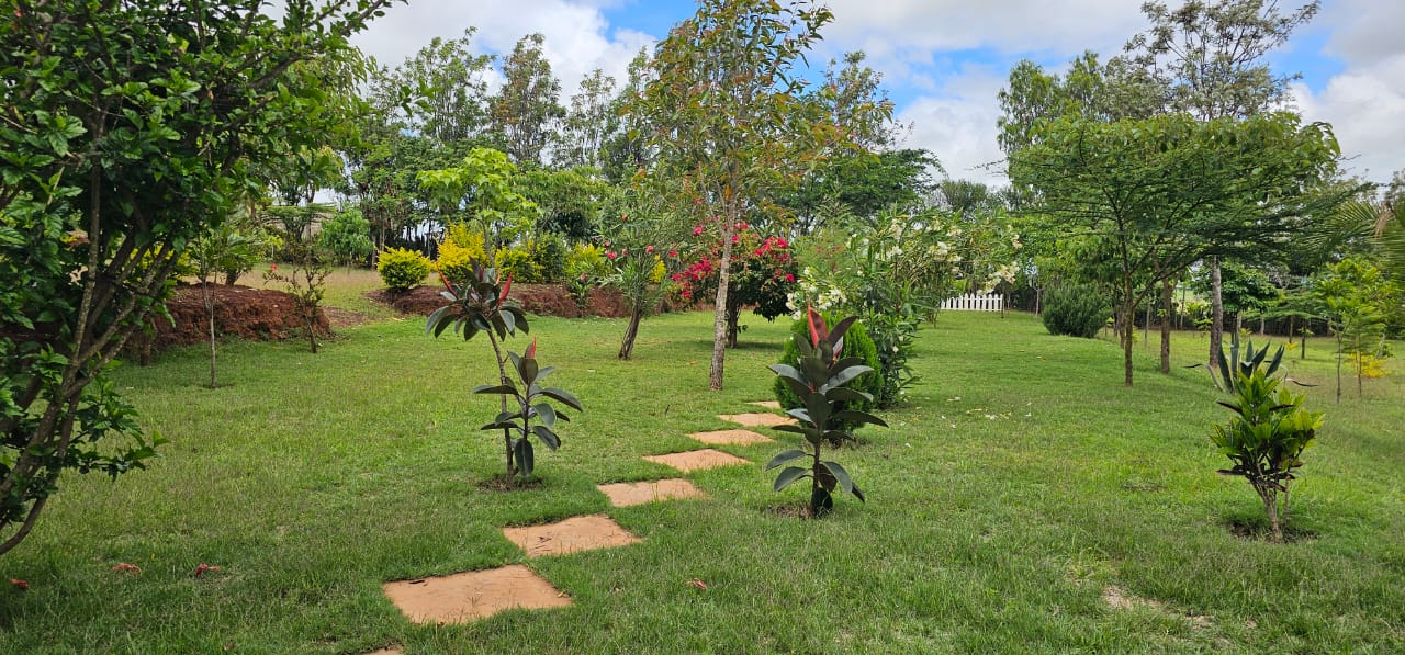 Kikao Camping Farm